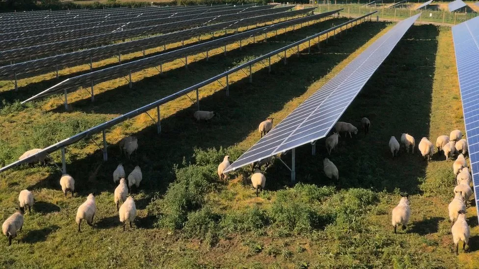 Views sought on Sleaford solar farm plans