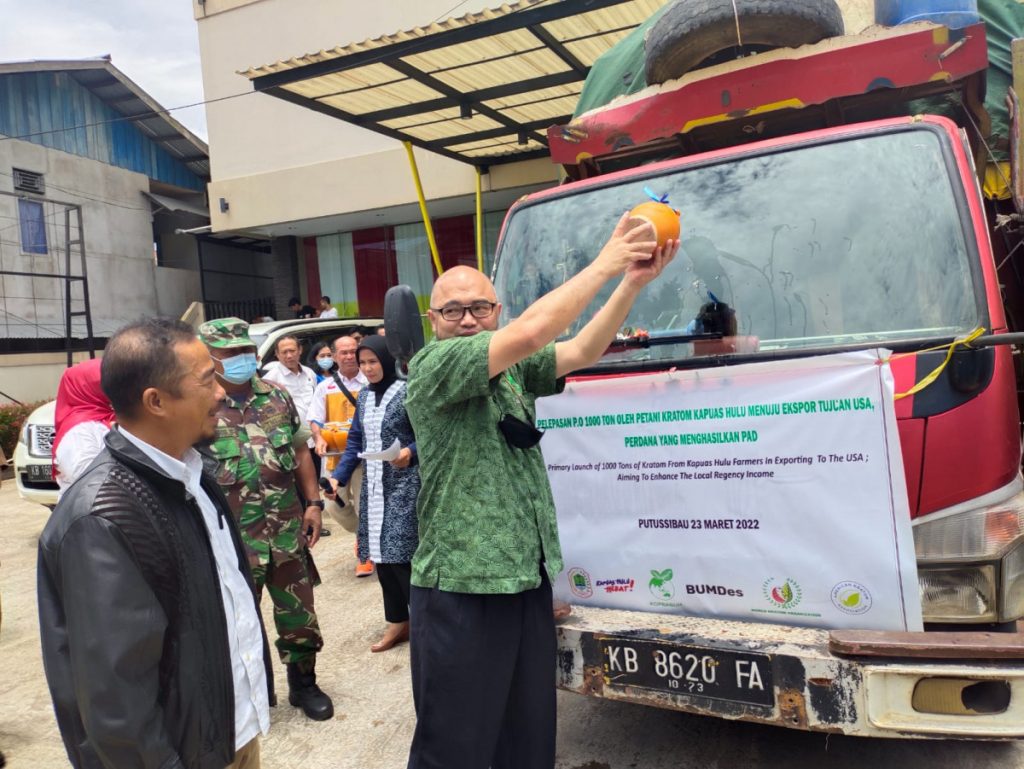 Satpol PP Kapuas Hulu Lakukan Pengamanan Launching Kratom